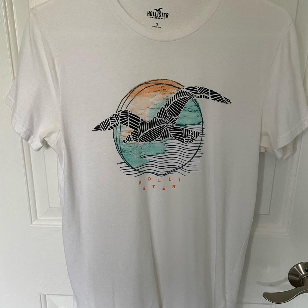 Hollister Men’s t-shirt. Sz. S